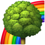 Respeito às Diferenças